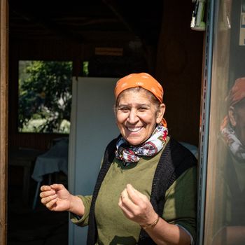 Halász Ildikó — konyha, receptek